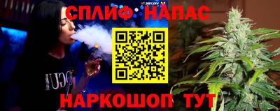 a pvp Дубна