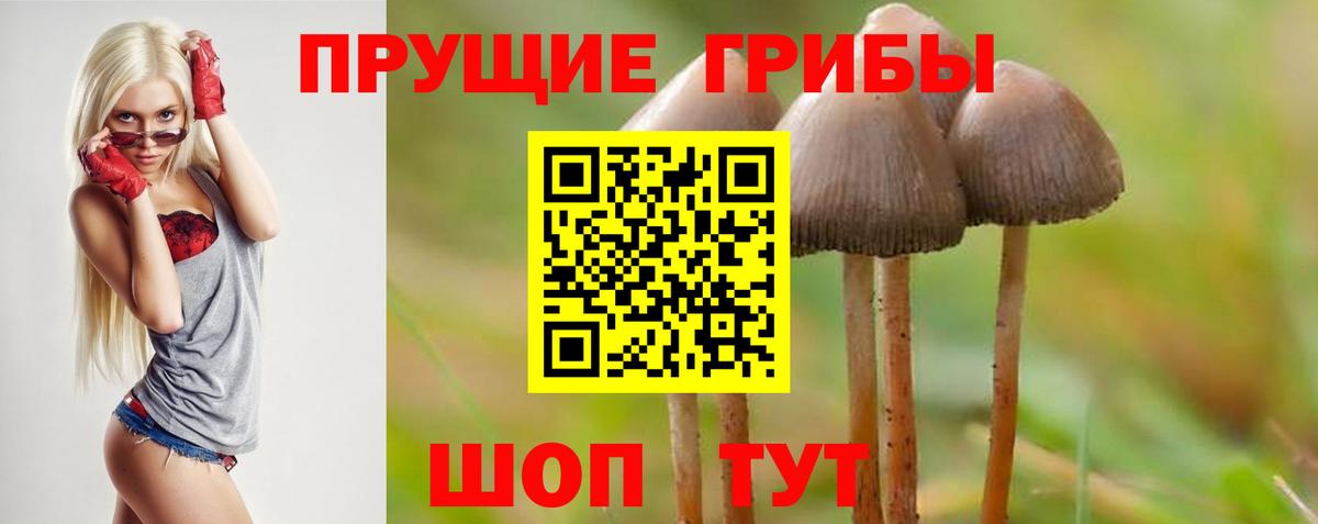 Мурманск  Галлюциногенные грибы Cubensis  Псилоцибиновые грибы прущие грибы  Вход с VPN 